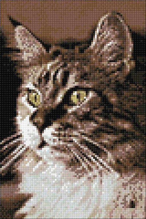 Cat at Home CS212 7.9 x 11.8 inches Crafting Spark Diamond Painting Kit - Wizardi