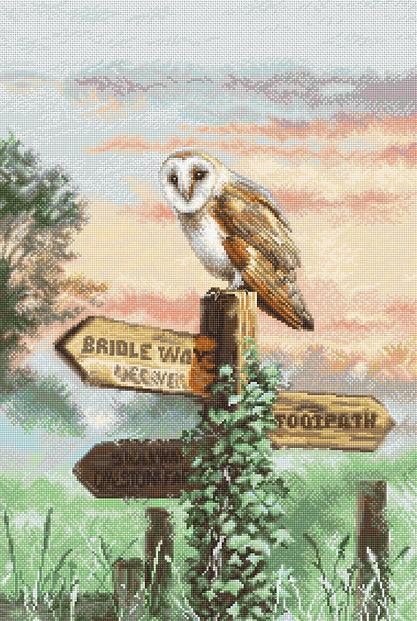 Counted Cross Stitch Kit Barn Owl L8031 - Wizardi
