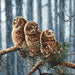 Counted Cross Stitch Kit Owls family Leti946 - Wizardi
