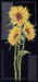 Cross-stitch kit Bright sunflowers AH-159 - Wizardi