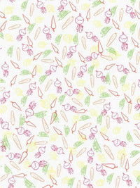 Designer Printed AIDA Canvas 14ct KD14-122 Garden Carrots - Wizardi