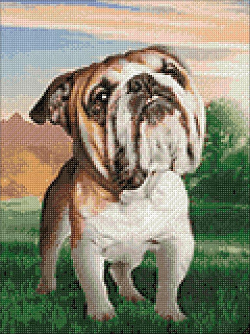 Dreaming Dog CS2537 11.8 x 15.7 inches Crafting Spark Diamond Painting Kit - Wizardi