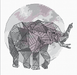 Elephant Counted Cross Stitch Chart - Free Pattern for Subscribers - Wizardi