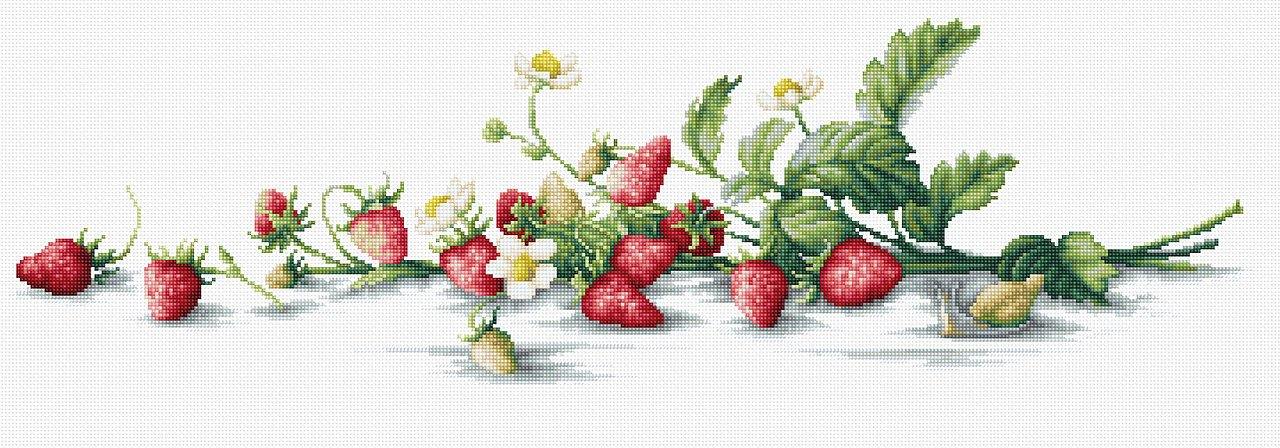 Etude with Strawberries B2266L Counted Cross-Stitch Kit - Wizardi