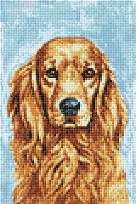 Faithful Dog CS180 7.9 x 11.8 inches Wizardi Diamond Painting Kit - Wizardi