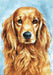Faithful Dog CS180 7.9 x 11.8 inches Wizardi Diamond Painting Kit - Wizardi