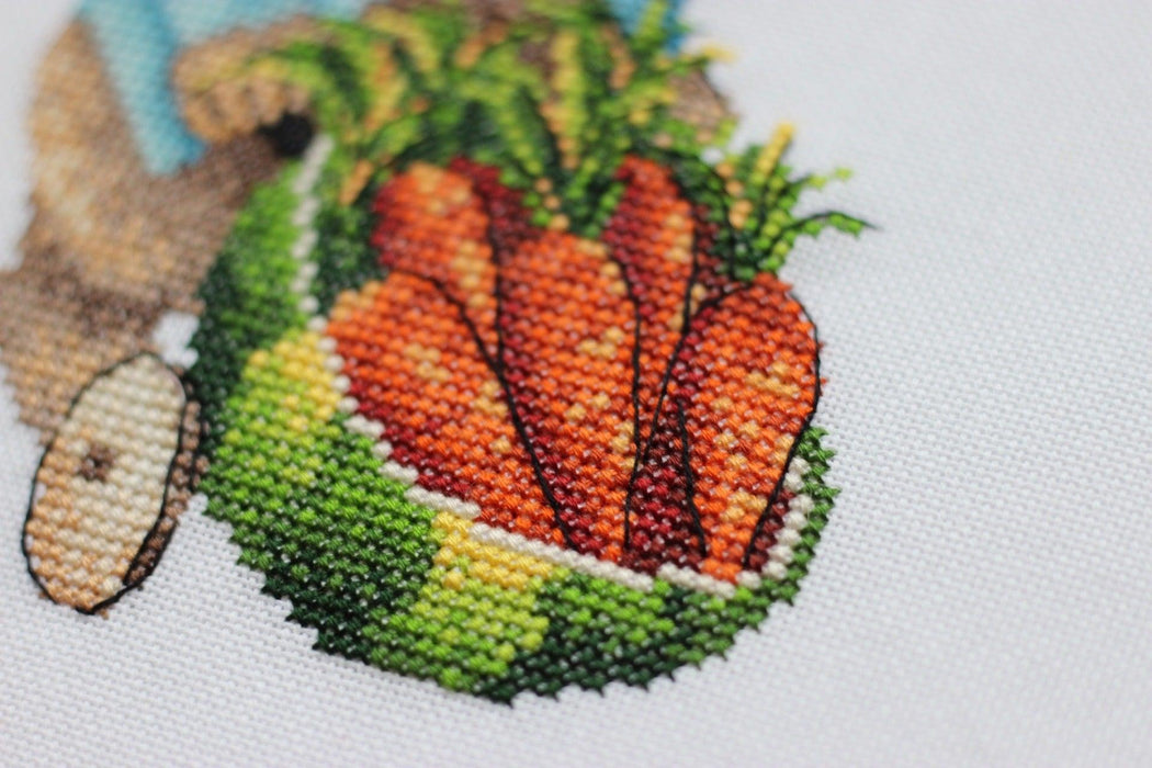 Apricot Counted Cross Stitch Pattern. Fruit PDF Instant -   Cross  stitch fruit, Cross stitch funny, Cross stitch supplies