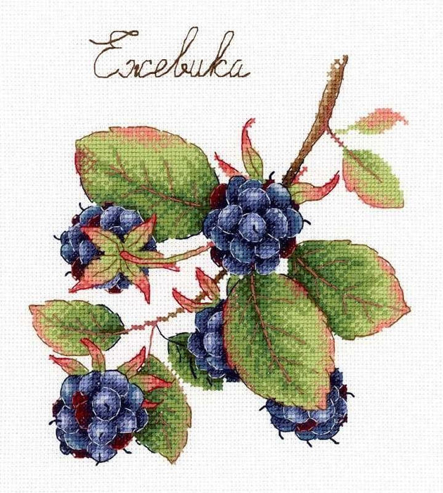 Gifts of Nature. Blackberry SNV-696 Counted Cross Stitch Kit - Wizardi