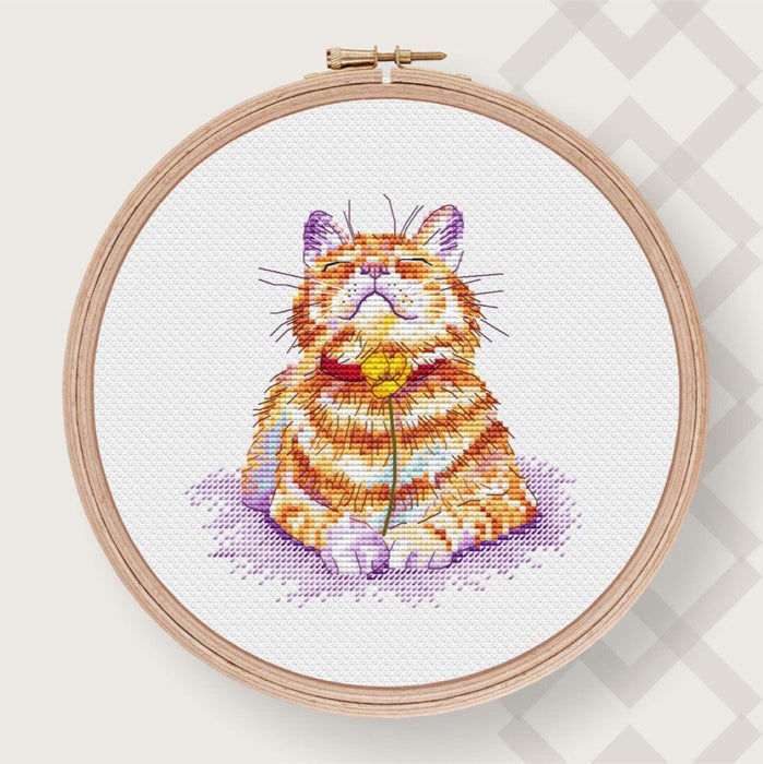 Cat Embroidery Kit Ginger Kitten Design Orange Kitty Pattern