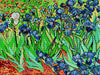 Gobelin canvas for halfstitch without yarn after Vincent van Gogh - Irises 1202M - Wizardi
