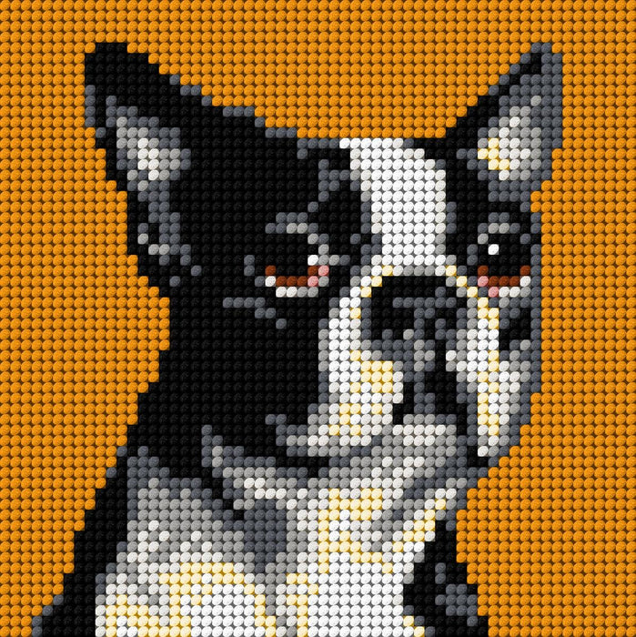 Gobelin canvas for halfstitch without yarn Boston Terrier 2719D - Wizardi