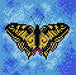 Gobelin canvas for halfstitch without yarn Butterfly - Wizardi