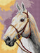 Gobelin canvas for halfstitch without yarn White horse 3373J - Wizardi