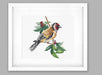 Goldfinch Bird B1197L Counted Cross-Stitch Kit - Wizardi