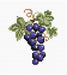 Grapes B029L Counted Cross-Stitch Kit - Wizardi