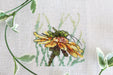 Grasshopper on Coneflower SM-622 Counted Cross Stitch Kit - Wizardi