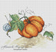 Halloween Pumpkin - PDF Cross Stitch Pattern - Wizardi
