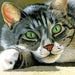 Intrigue CS274 7.9 x 7.9 inches Crafting Spark Diamond Painting Kit - Wizardi