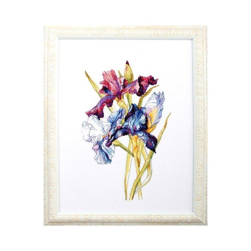 Irises rainbow M580 Counted Cross Stitch Kit - Wizardi