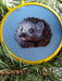 Little Hedgehog - PDF Counted Cross Stitch Pattern - Wizardi
