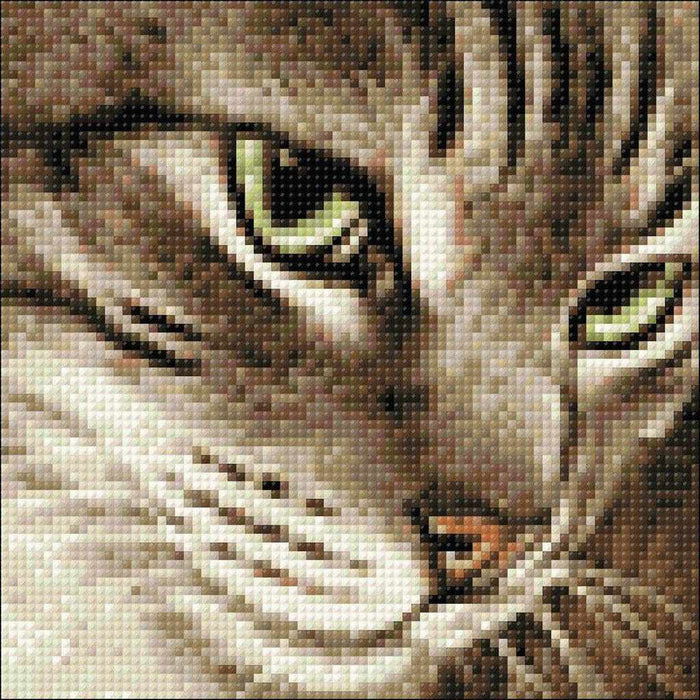 Mysterious Cat CS282 7.9 x 7.9 inches Crafting Spark Diamond Painting Kit - Wizardi