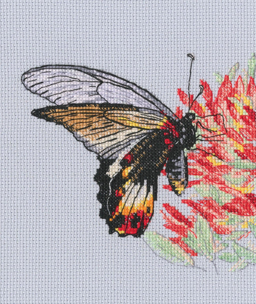 Nectar for butterfly M755 Counted Cross Stitch Kit - Wizardi