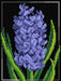 Needlepoint canvas for halfstitch without yarn Hyacinth 3052F - Printed Tapestry Canvas - Wizardi