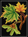 Needlepoint canvas for halfstitch without yarn Maple 3246F - Printed Tapestry Canvas - Wizardi