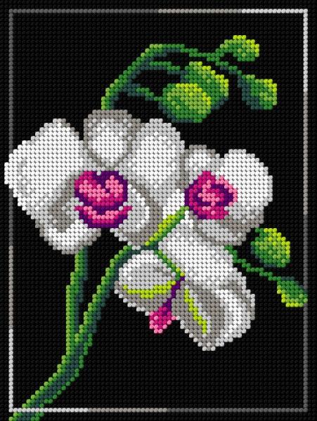 Needlepoint canvas for halfstitch without yarn Orchid 3010F - Printed Tapestry Canvas - Wizardi