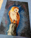 Night Owl" - PDF Counted Cross Stitch Pattern - Wizardi