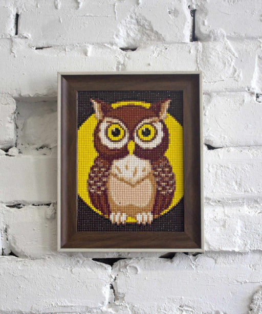 Night Owl WD308 5.9 x 7.9 inches Wizardi Diamond Painting Kit - Wizardi