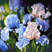 Painting by Numbers kit Bright irises KHO3190 - Wizardi