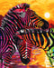 Painting by Numbers kit Crafting Spark Colorful Zebras H069 19.69 x 15.75 in - Wizardi