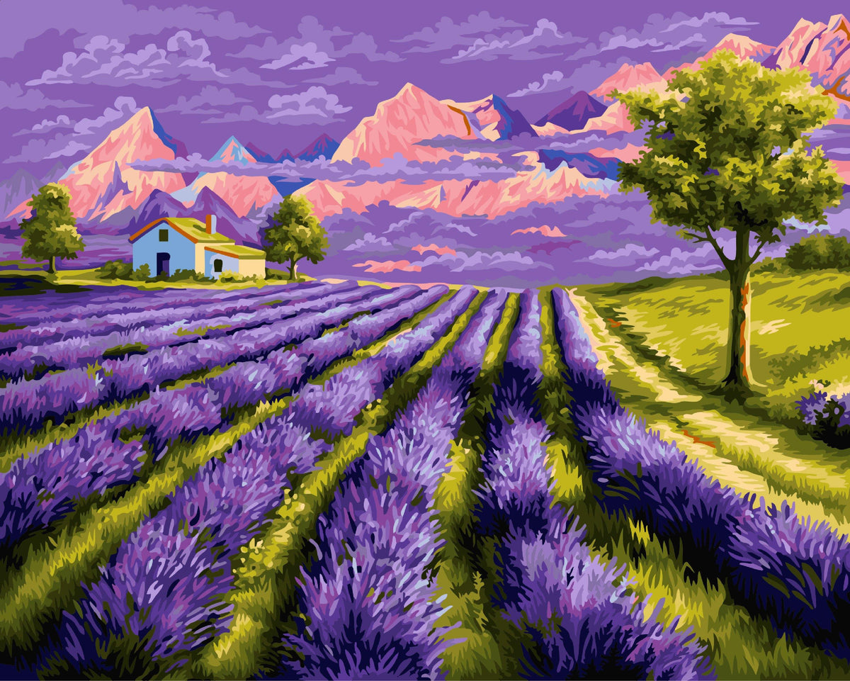 Lavender Garden - Paint by Numbers Kit for Adults DIY Oil Painting Kit on  Canvas