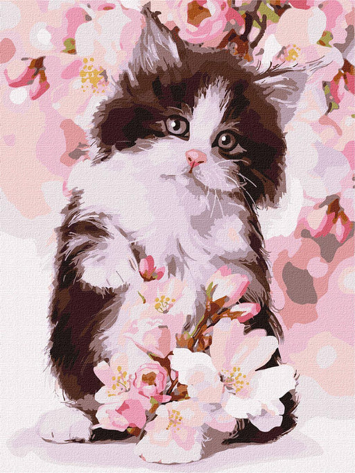 Painting by Numbers kit Fluffy kitten KHO4383 - Wizardi