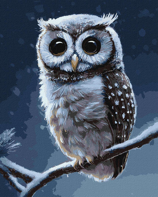 Painting by Numbers kit Forest owl KHO4457 - Wizardi