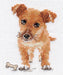 Puppy 0-168 Counted Cross-Stitch Kit - Wizardi