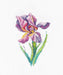 Rainbow flower 1425 Counted Cross Stitch Kit - Wizardi