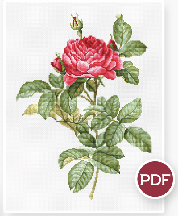 Red Rose Counted Cross Stitch Pattern - Free for Subscribers - Wizardi