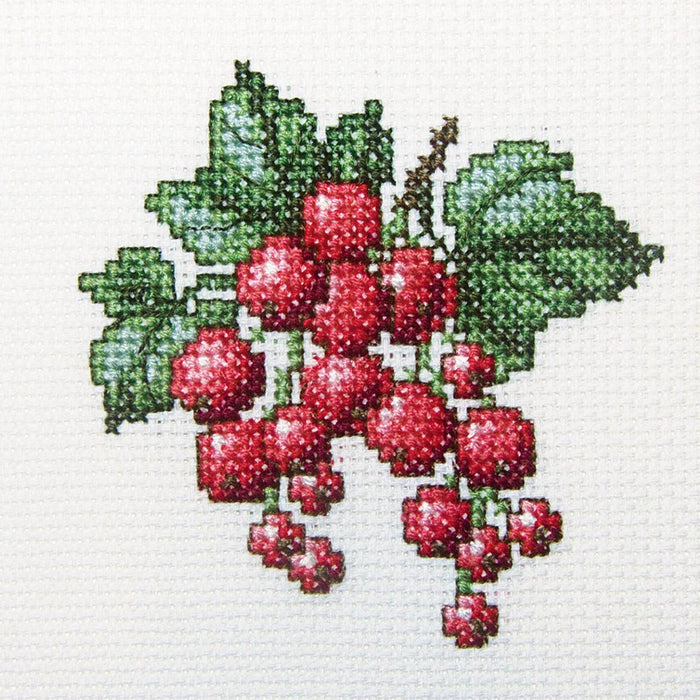 Redcurrant H252 Counted Cross Stitch Kit - Wizardi