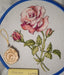 Rose - PDF Cross Stitch Pattern - Wizardi