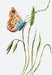 Smell of Spring B2244L Counted Cross-Stitch Kit - Wizardi