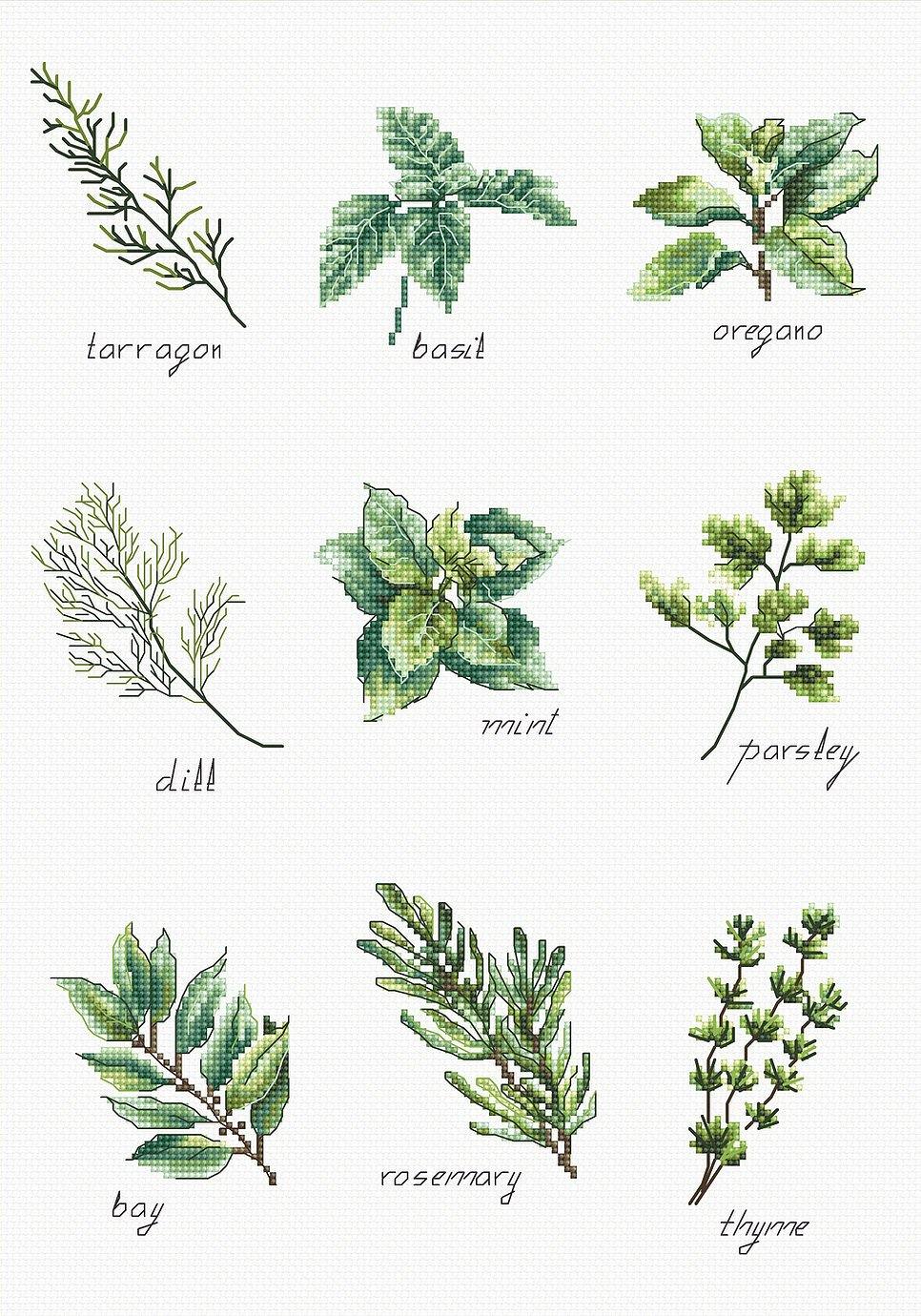 Spices and herbs B2345L Counted Cross-Stitch Kit - Wizardi