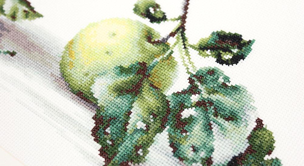Still Life with apples B2259L Counted Cross-Stitch Kit - Wizardi