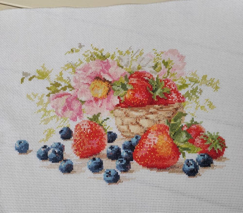 Strawberry Season Cross Stitch Kit