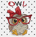 The Owl With Glasses B1403L Counted Cross-Stitch Kit - Wizardi