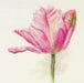 Tulips. Light Pink 2-42 Counted Cross-Stitch Kit - Wizardi