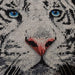 White tiger - PDF Counted Cross Stitch Pattern - Wizardi