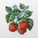 Wild Strawberries H251 Counted Cross Stitch Kit - Wizardi