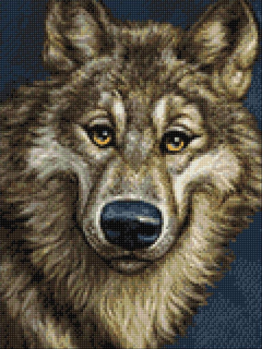 Wolf CS2574 11.8 x 15.8 inches Crafting Spark Diamond Painting Kit - Wizardi